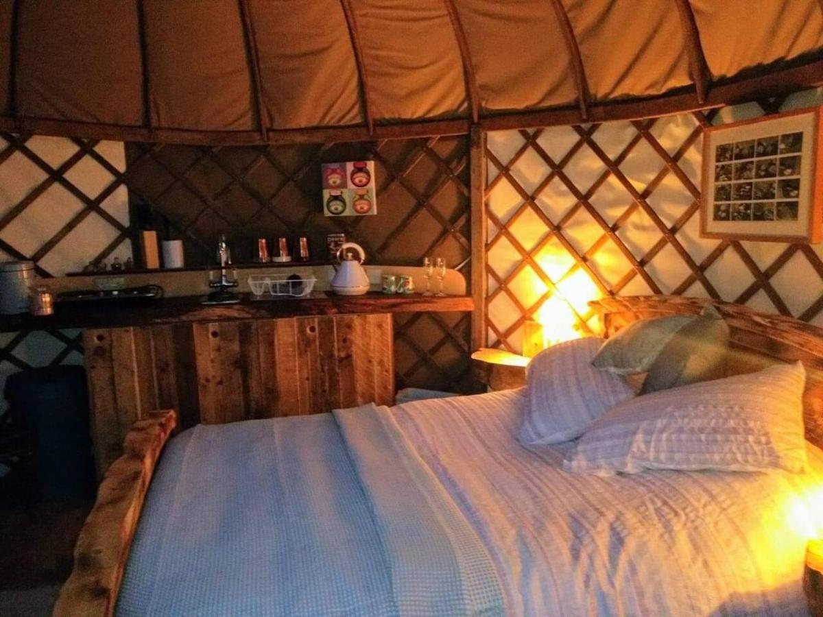 Bembridge Harbour Yurt - Log Burner - Wifi Villa Exteriör bild